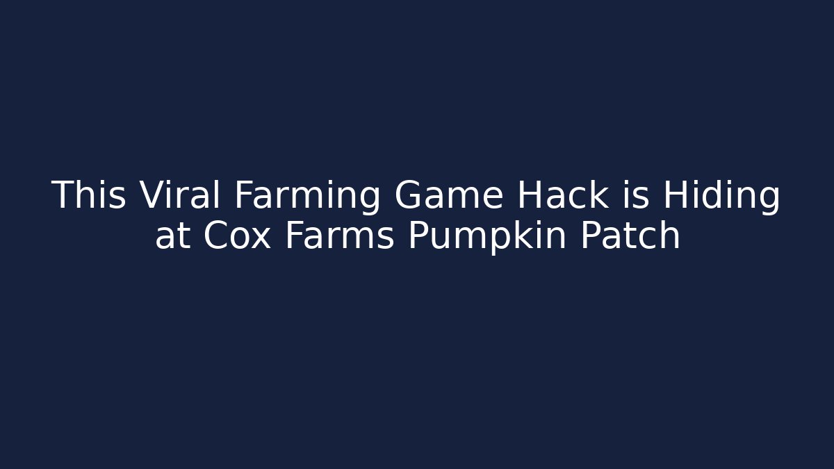 This Viral Farming Game Hack is Hiding at Cox Farms Pumpkin Patch