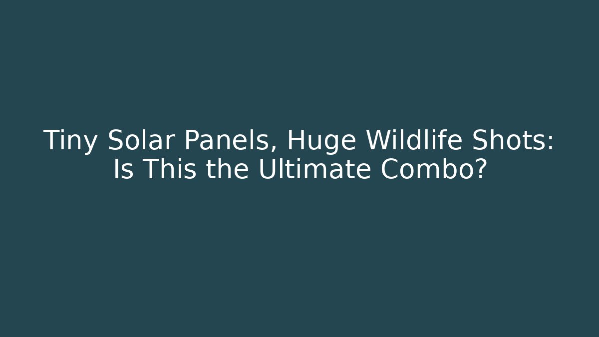 Tiny Solar Panels, Huge Wildlife Shots: Is This the Ultimate Combo?