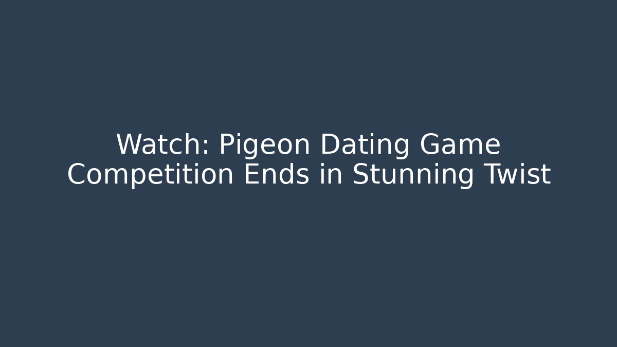 Watch: Pigeon Dating Game Competition Ends in Stunning Twist