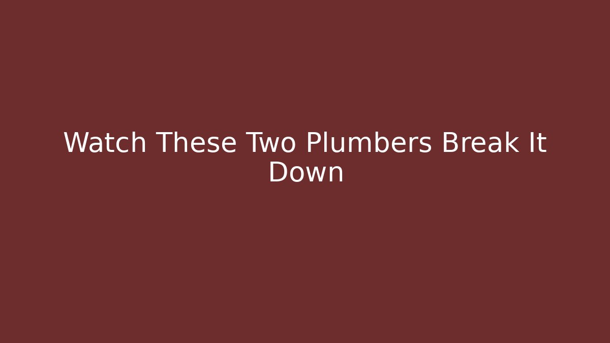 Watch These Two Plumbers Break It Down
