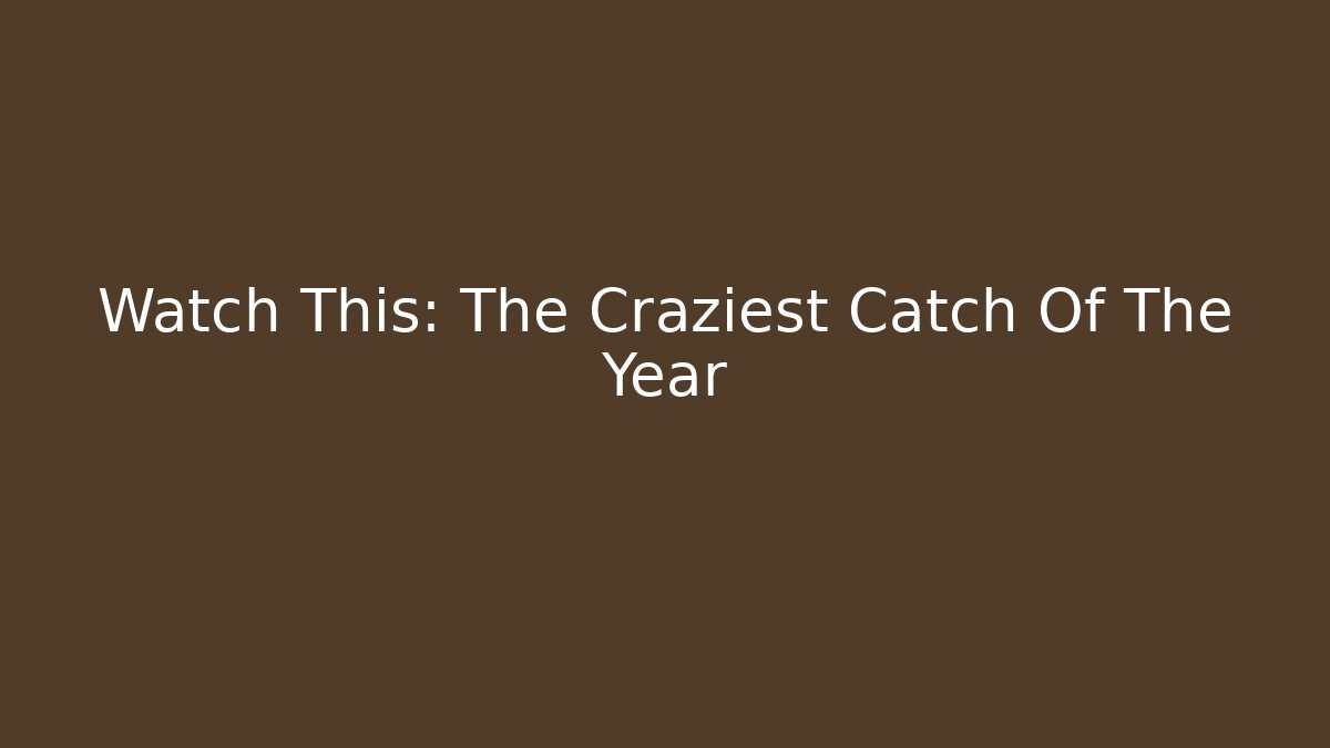 Watch This: The Craziest Catch Of The Year