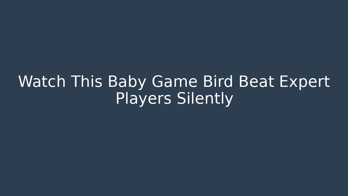 Watch This Baby Game Bird Beat Expert Players Silently