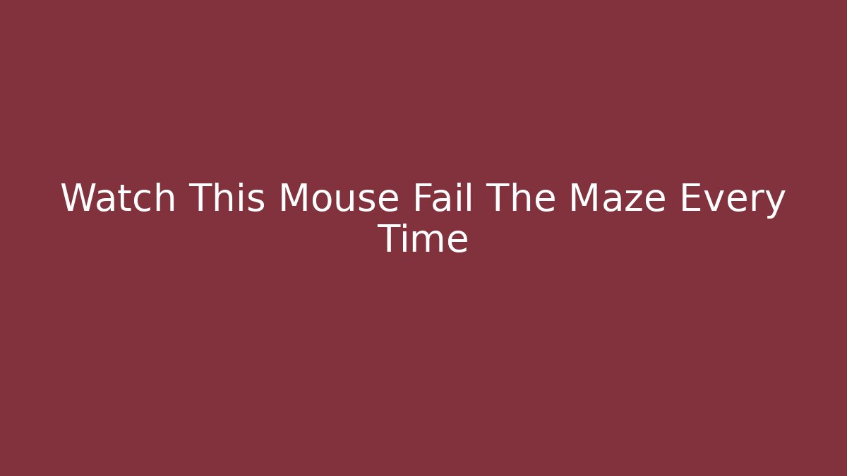 Watch This Mouse Fail The Maze Every Time