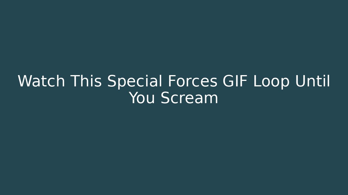 Watch This Special Forces GIF Loop Until You Scream