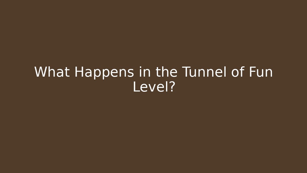 What Happens in the Tunnel of Fun Level?