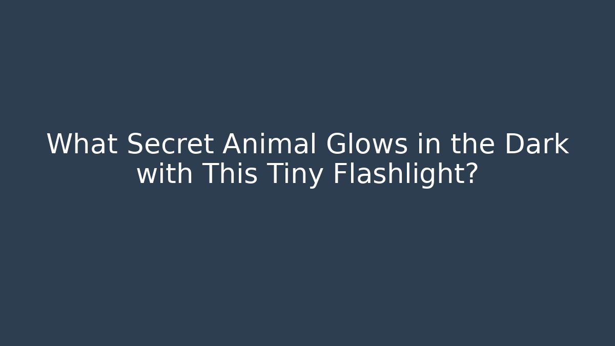 What Secret Animal Glows in the Dark with This Tiny Flashlight?