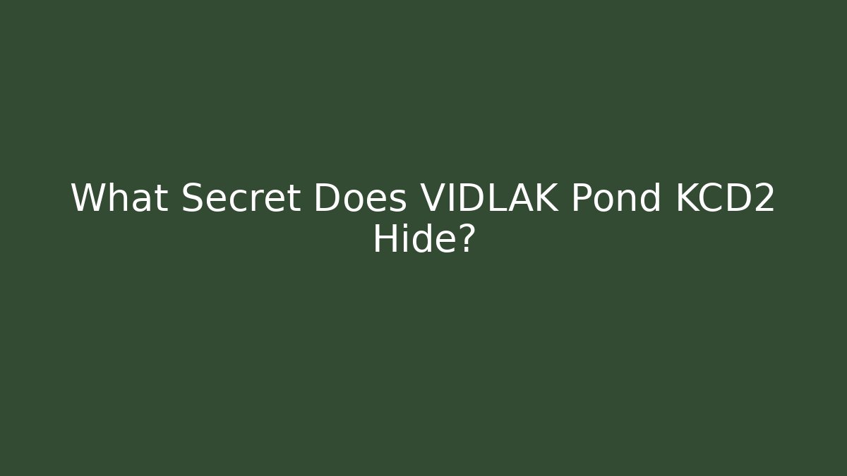 What Secret Does VIDLAK Pond KCD2 Hide?