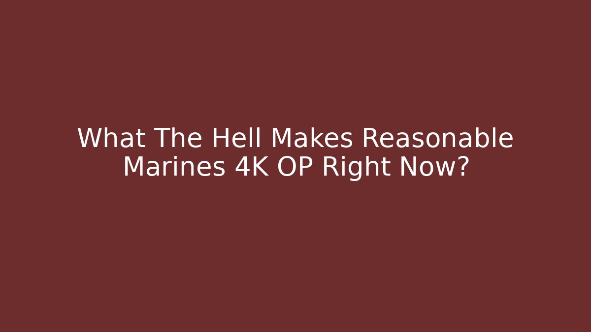 What The Hell Makes Reasonable Marines 4K OP Right Now?