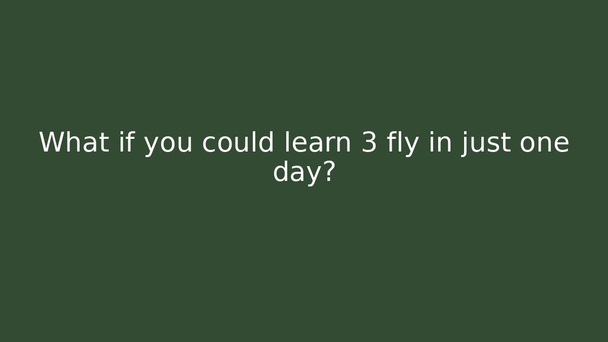 What if you could learn 3 fly in just one day?