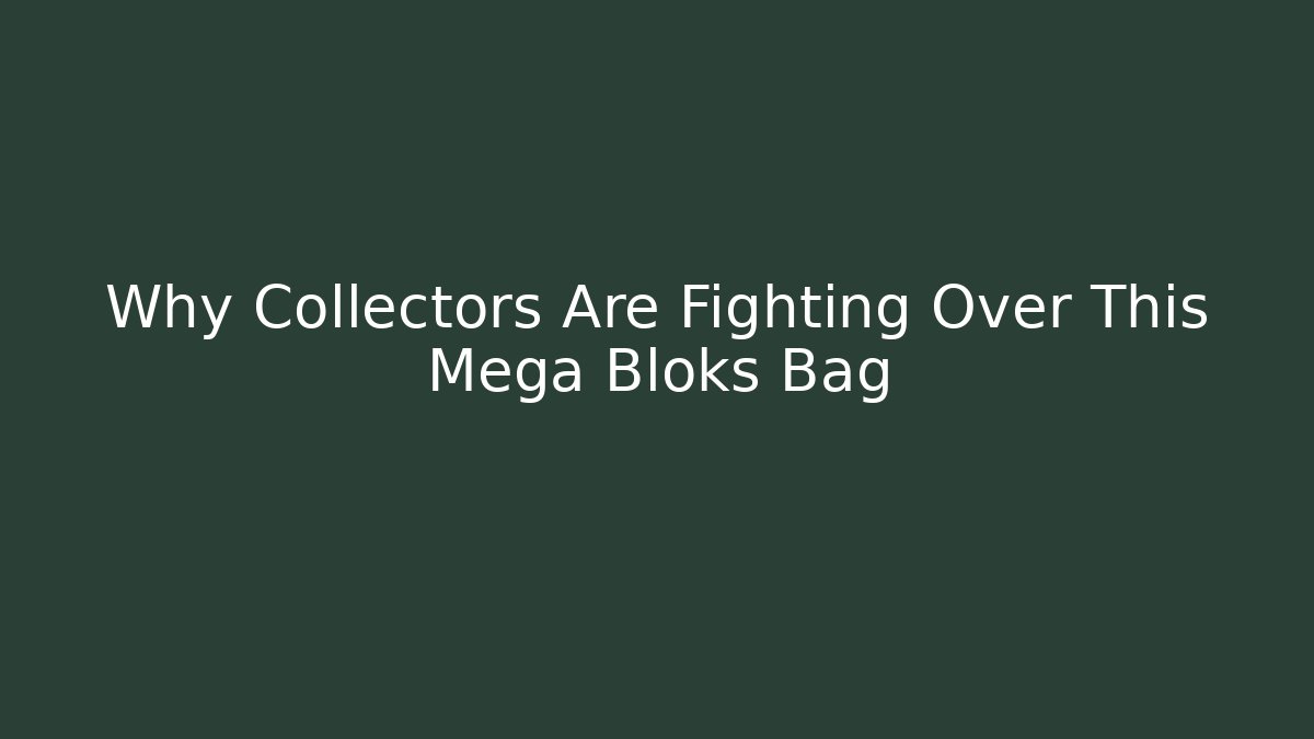 Why Collectors Are Fighting Over This Mega Bloks Bag