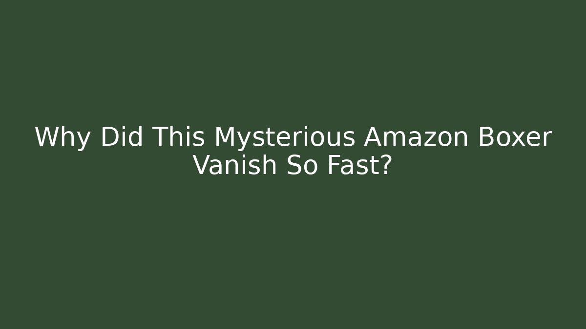 Why Did This Mysterious Amazon Boxer Vanish So Fast?