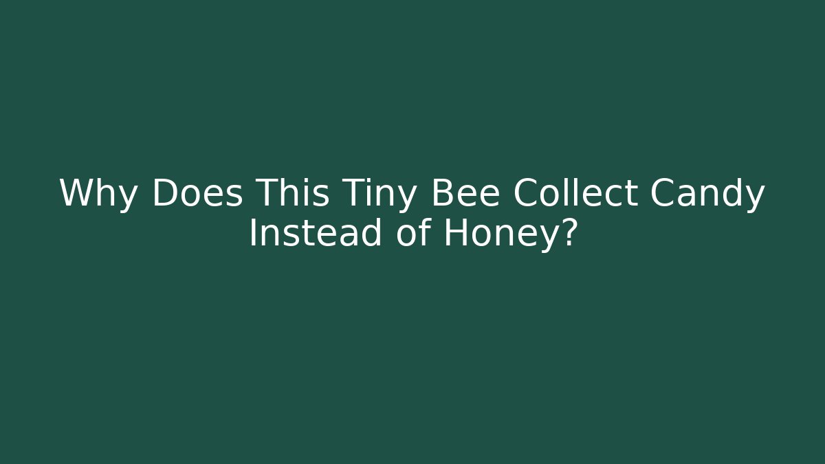 Why Does This Tiny Bee Collect Candy Instead of Honey? - Celivion