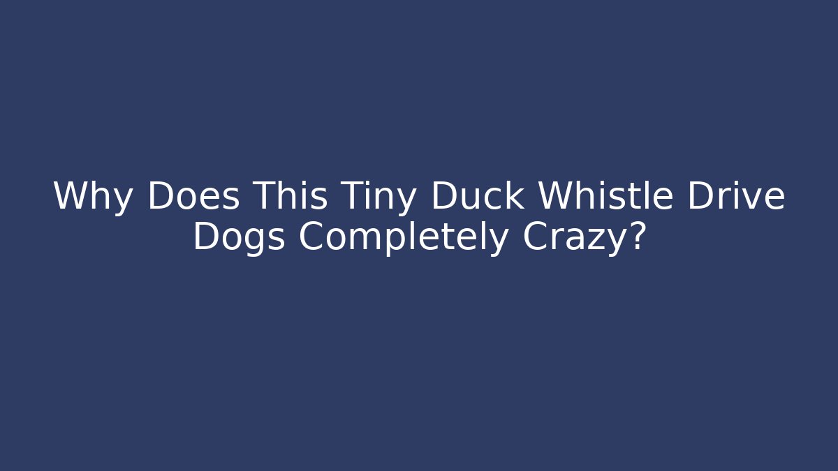 Why Does This Tiny Duck Whistle Drive Dogs Completely Crazy?