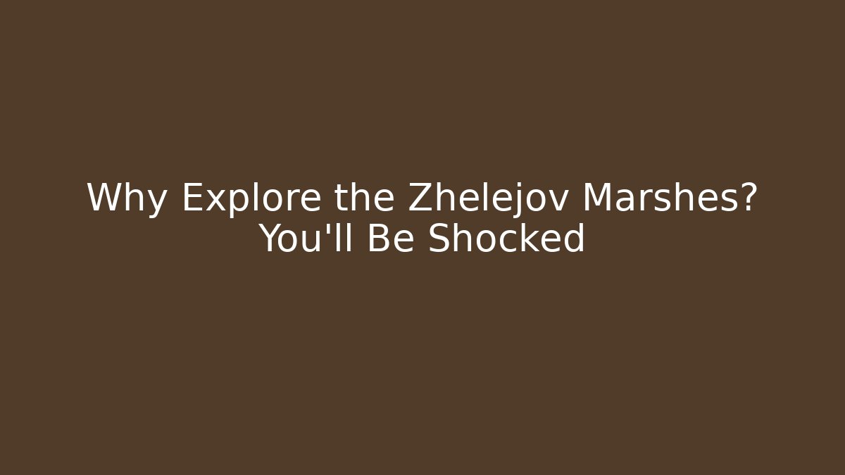 Why Explore the Zhelejov Marshes? You'll Be Shocked - Celivion