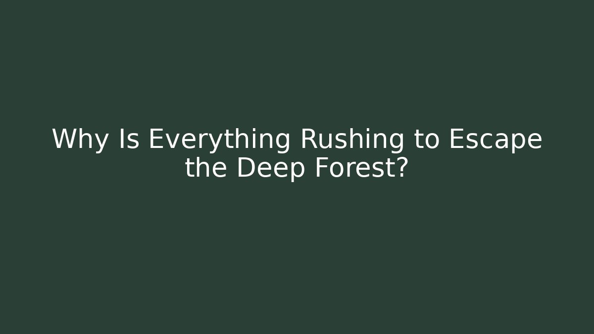 Why Is Everything Rushing to Escape the Deep Forest?