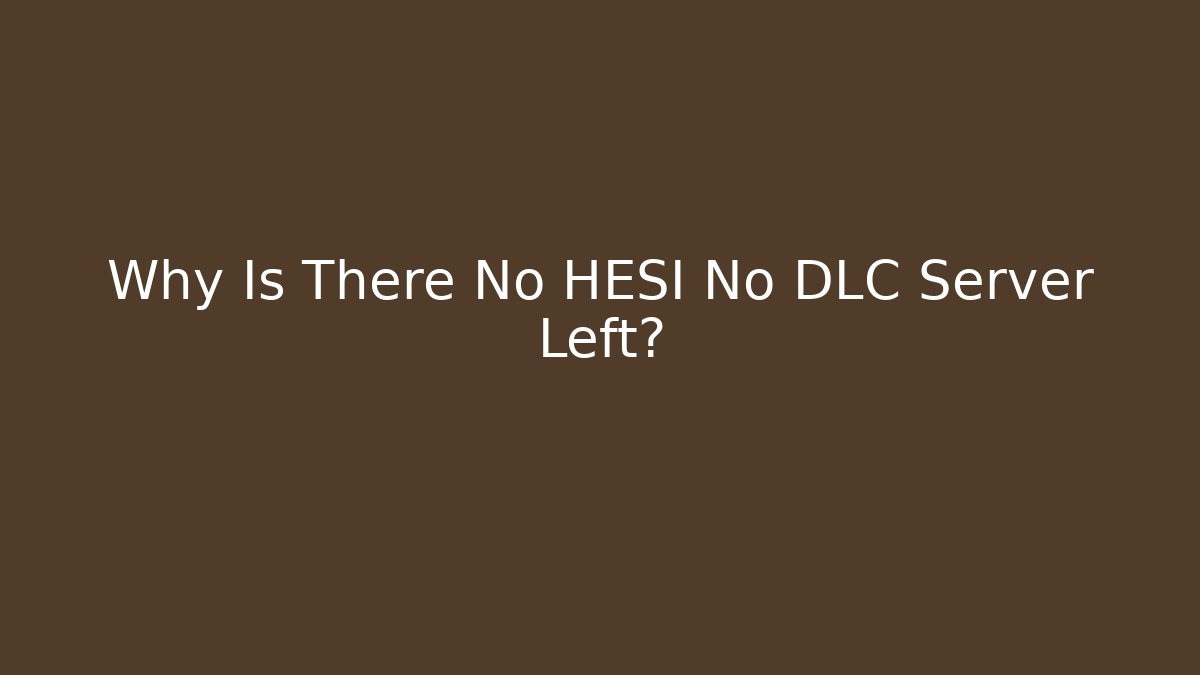 Why Is There No HESI No DLC Server Left?