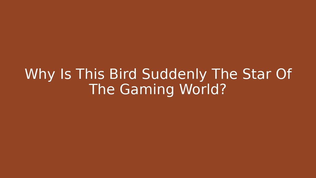 Why Is This Bird Suddenly The Star Of The Gaming World?