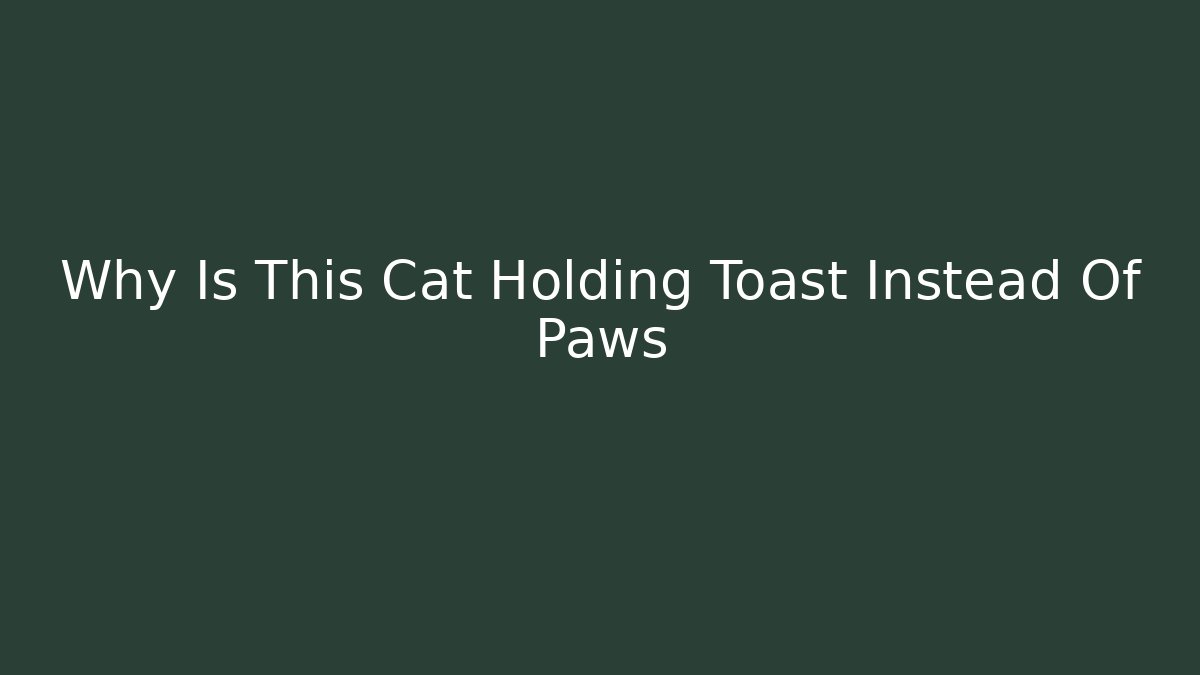 Why Is This Cat Holding Toast Instead Of Paws