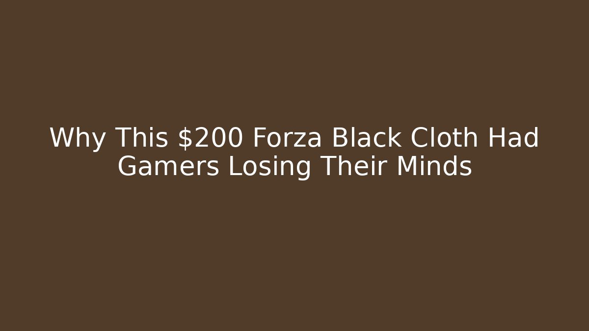 Why This $200 Forza Black Cloth Had Gamers Losing Their Minds
