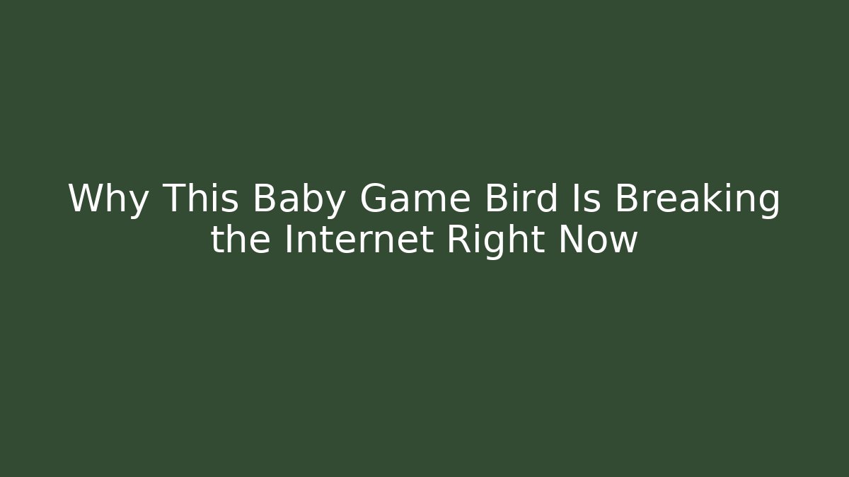 Why This Baby Game Bird Is Breaking the Internet Right Now