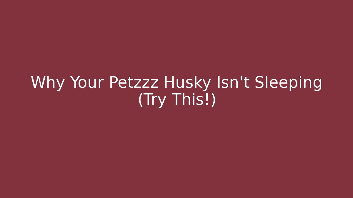 Why Your Petzzz Husky Isn't Sleeping (Try This!)