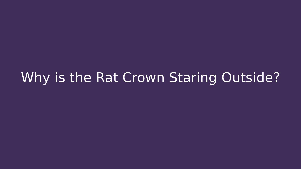 Why is the Rat Crown Staring Outside?