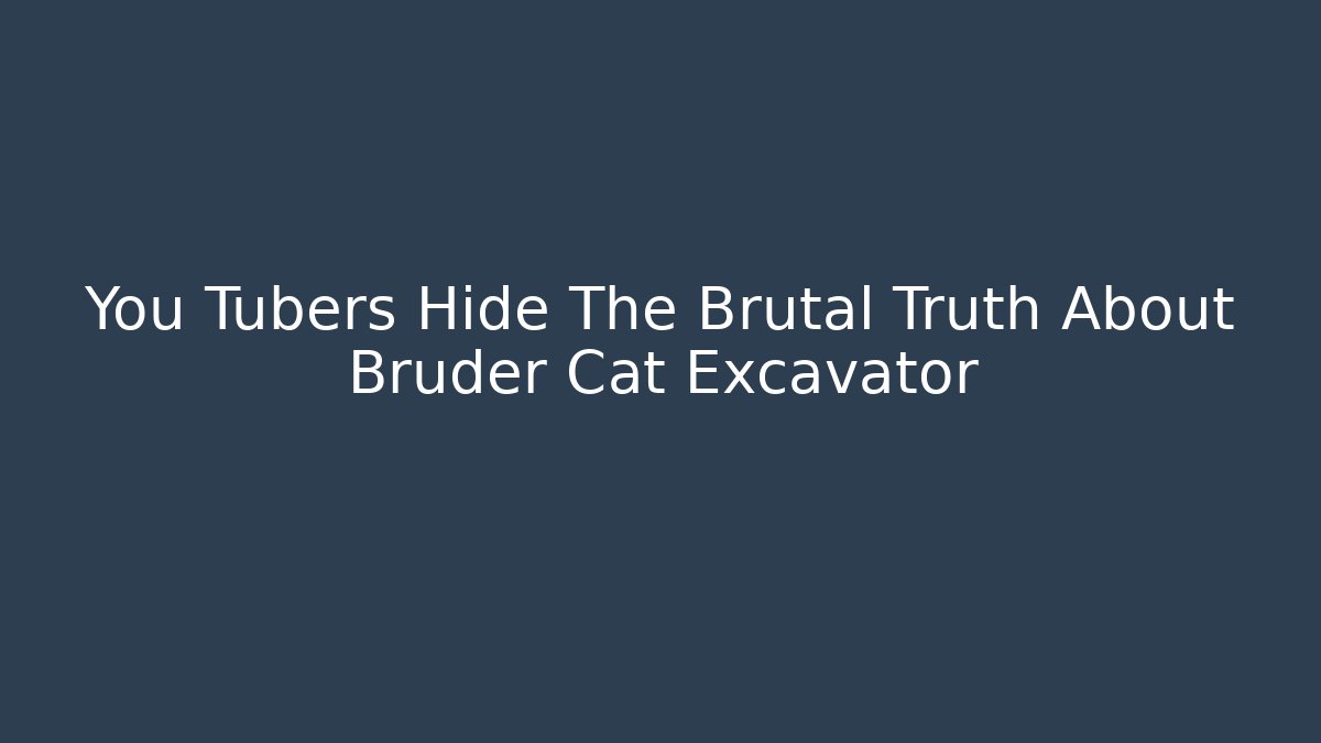 You Tubers Hide The Brutal Truth About Bruder Cat Excavator