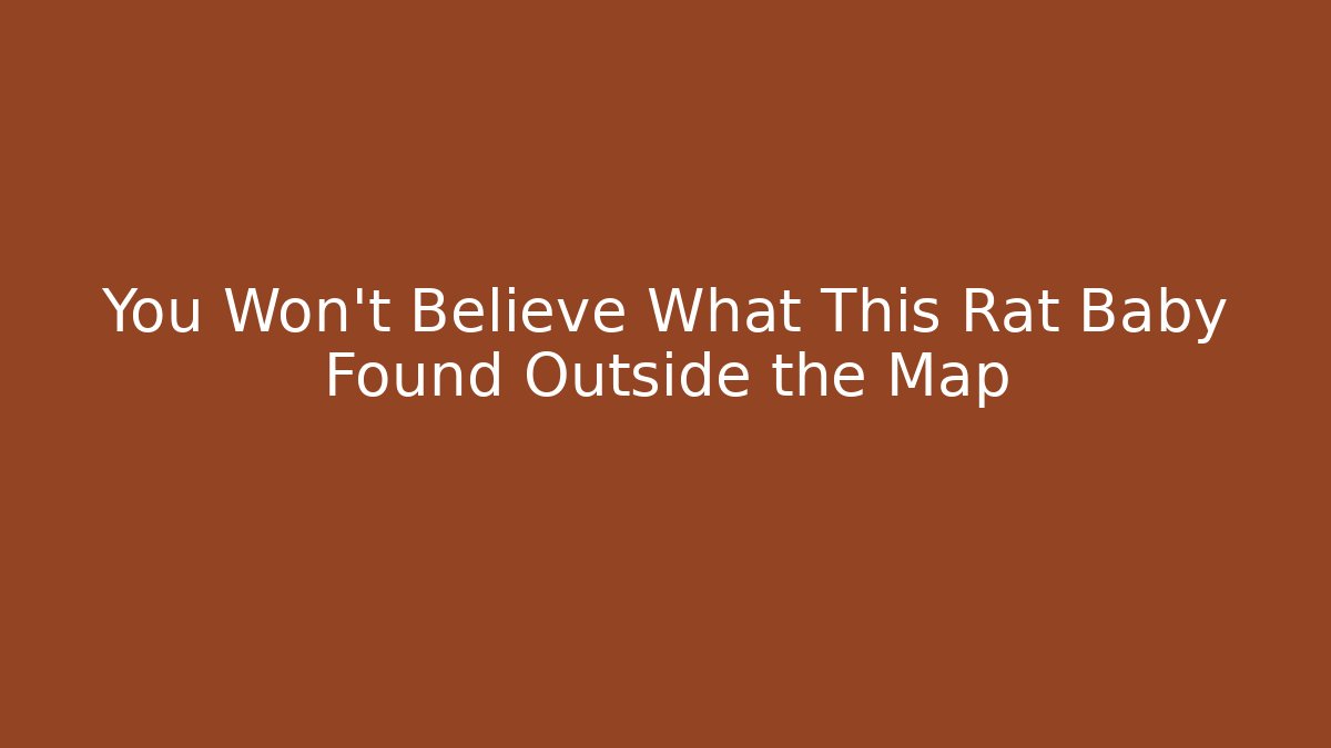 You Won't Believe What This Rat Baby Found Outside the Map