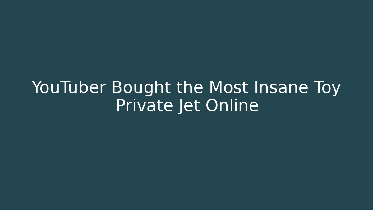 YouTuber Bought the Most Insane Toy Private Jet Online